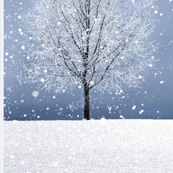 2 For $5 - Picture 1 of 1